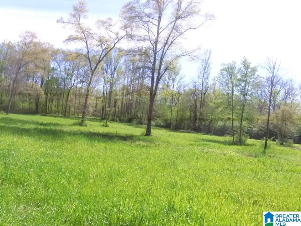 0 County Road 60, Unit 1 Heflin, AL 36264 - Photo 3 of 14
