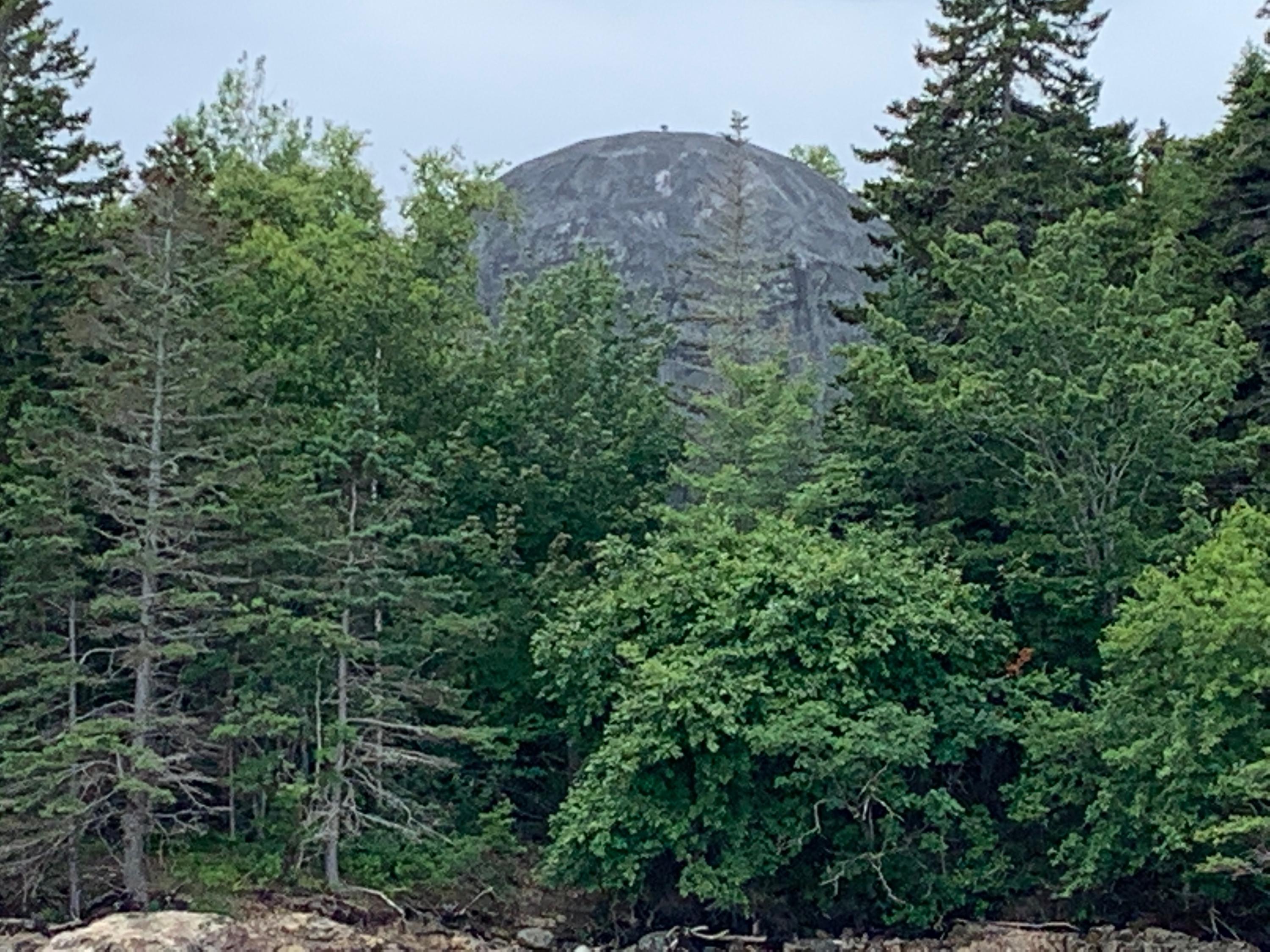 961 North Lubec Road Lubec, ME 04652 - Photo 5 of 76 Dome5