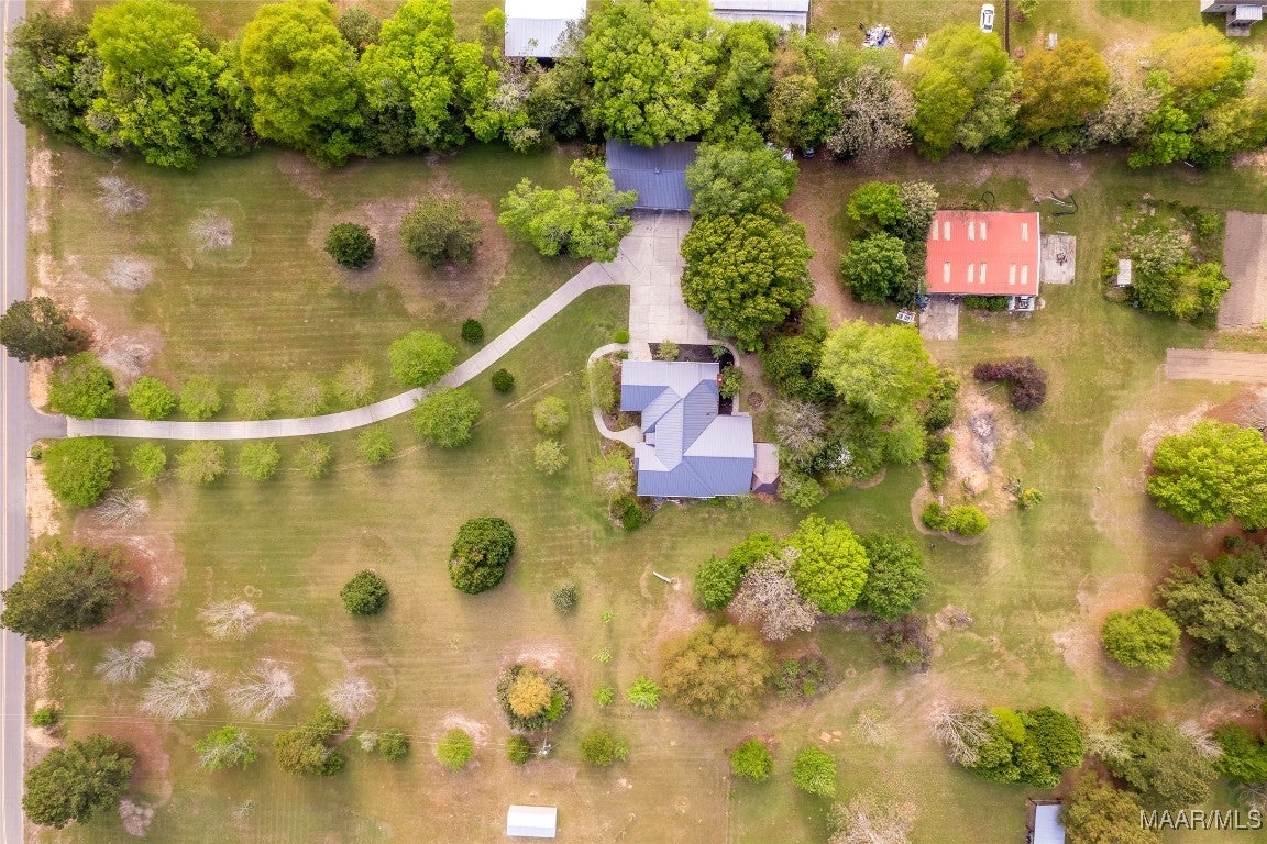 358 Oak Hill Road Newton, AL 36352 - Photo 11 of 74 Gallery Image 11