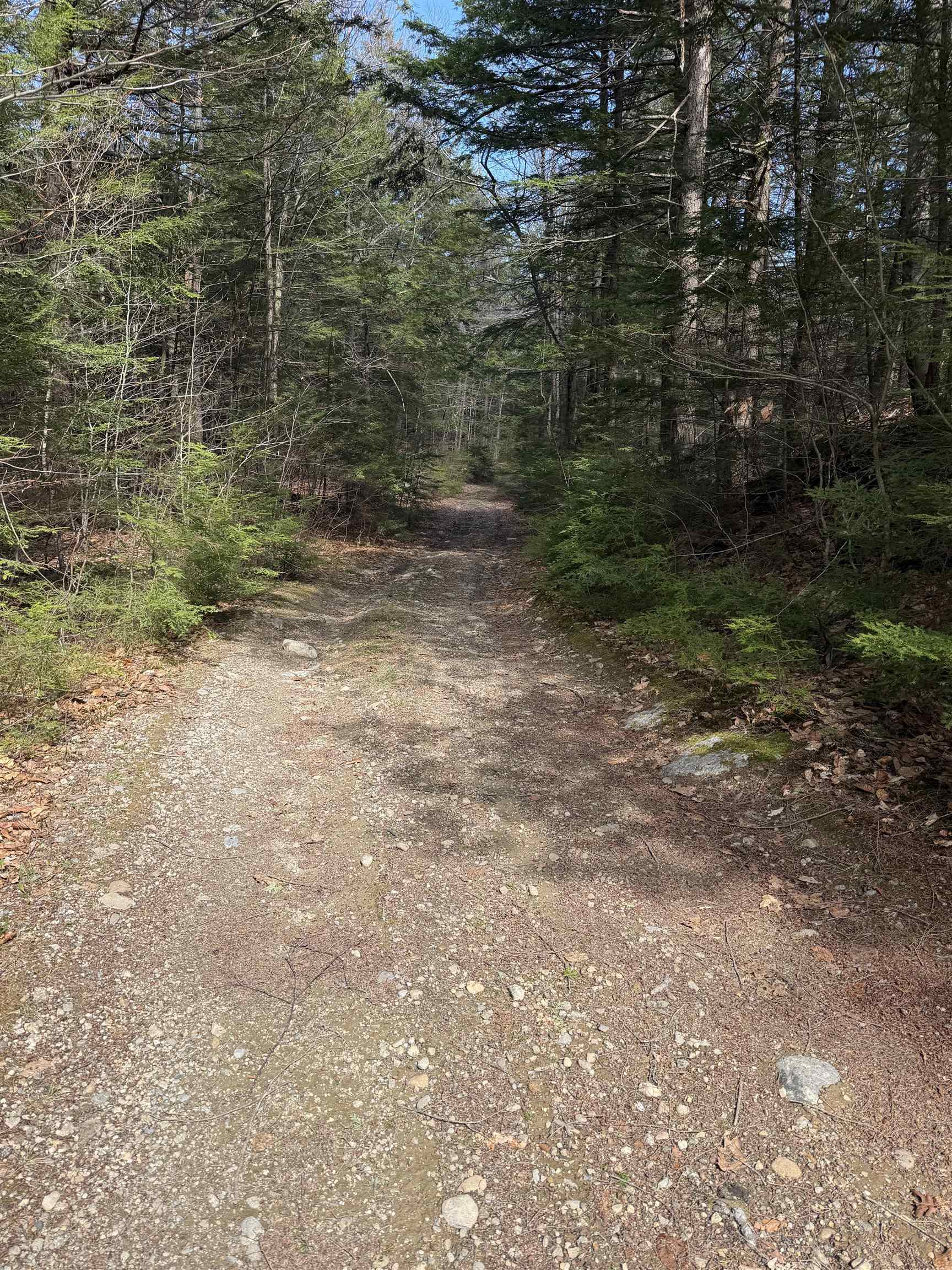 R29-l9 Roxbury Road, Unit LOT 9 Meredith, NH 03253 - Photo 11 of 36