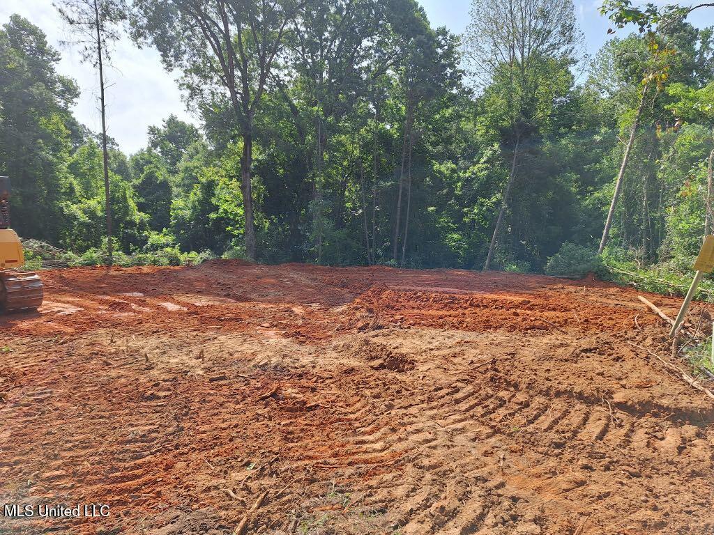 1063 Dry Creek Road Magee, MS 39111 - Photo 2 of 15 941a99ac-c83f-4aa6-9ebe-b39fa49916b4