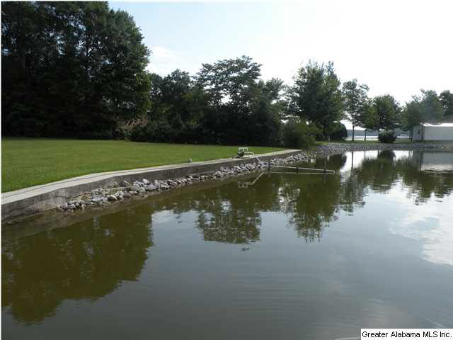 445 Reed Road Ashville, AL 35953 - Photo 2 of 17