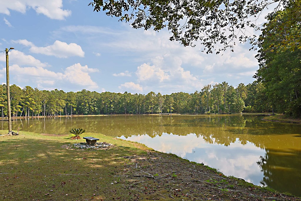 994 Ga Highway Fortson, GA 31808 - Photo 31 of 46 a view of a lake with a big yard