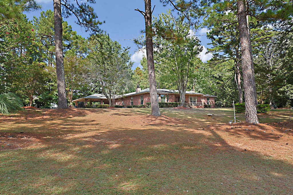 994 Ga Highway Fortson, GA 31808 - Photo 32 of 46 a view of street with trees