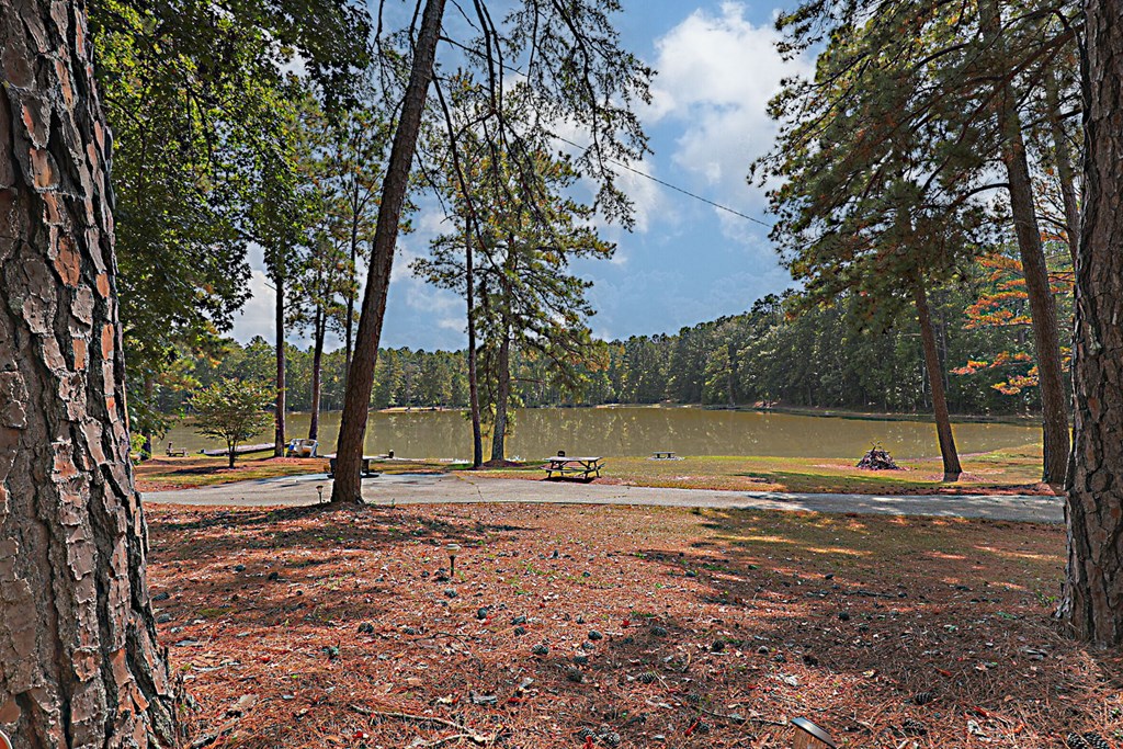 994 Ga Highway Fortson, GA 31808 - Photo 40 of 46 a view of a yard with swimming pool