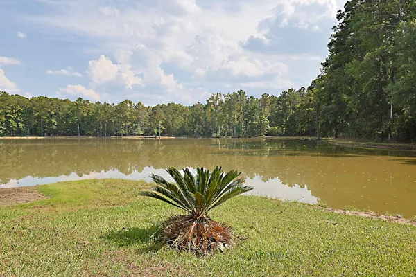 a view of a lake with a city