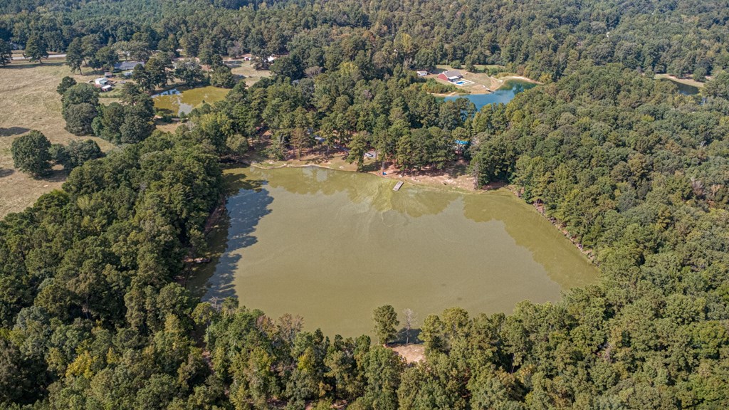 994 Ga Highway Fortson, GA 31808 - Photo 42 of 46 a view of a lake with a city