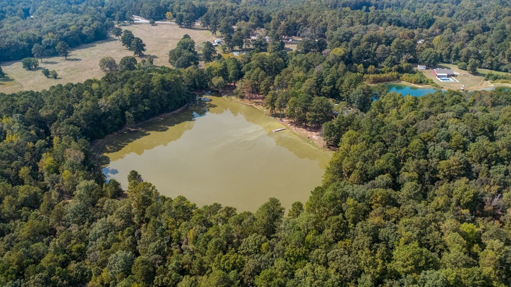 994 Ga Highway Fortson, GA 31808 - Photo 43 of 46 an aerial view of residential house with outdoor space and trees around