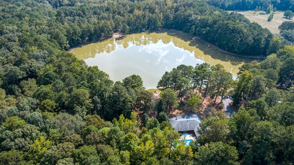 994 Ga Highway Fortson, GA 31808 - Photo 44 of 46 an aerial view of lake residential house with outdoor space and trees all around