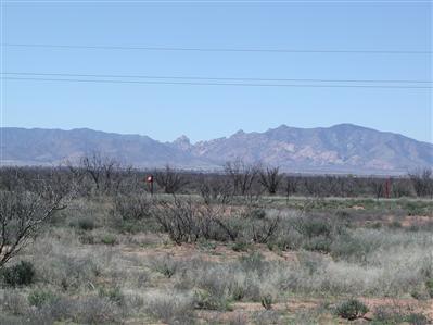 0 Kansas Settlement & Deer Mule Road Pearce, AZ 85625 - Photo 1 of 7