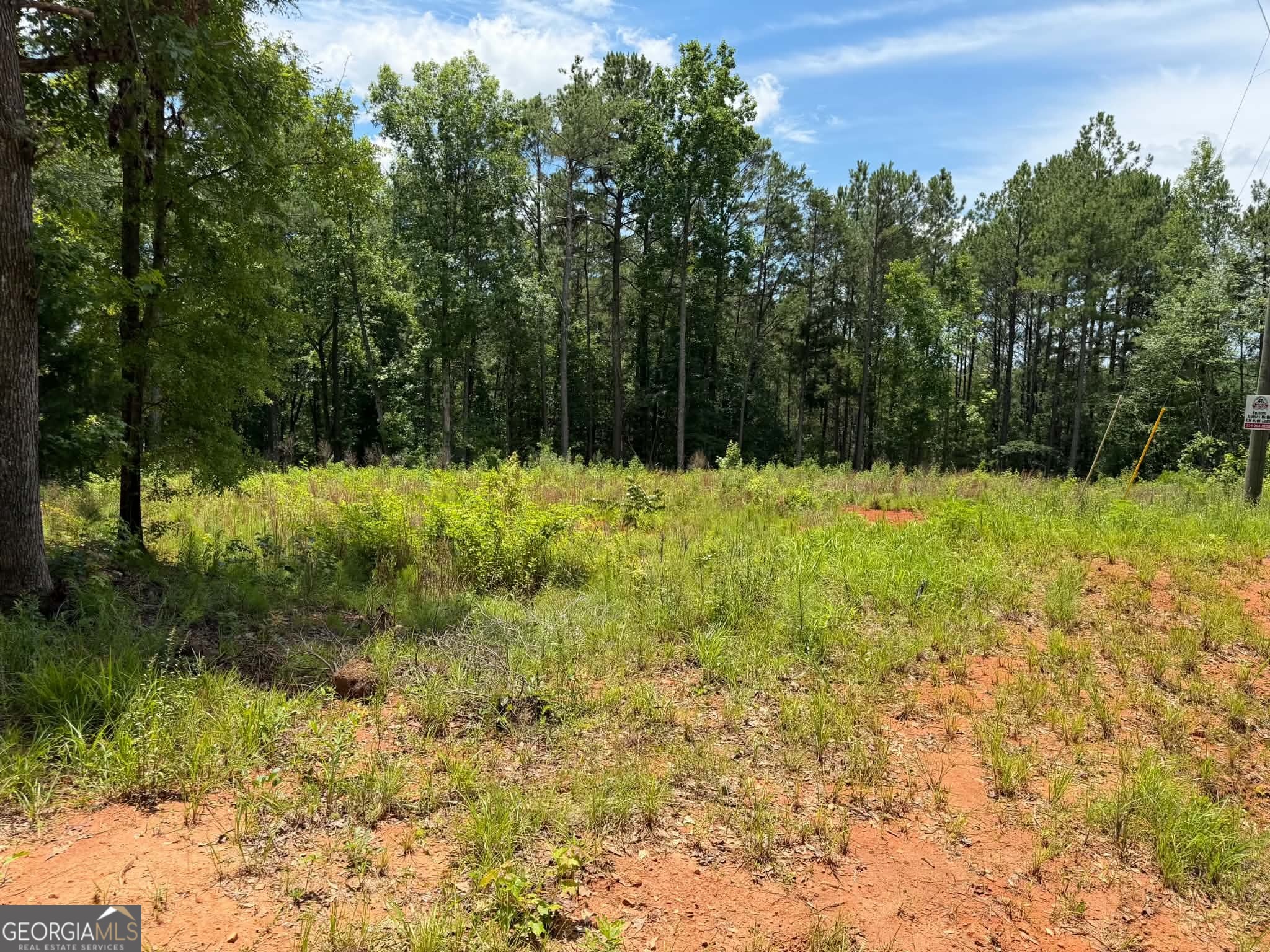 0 Whatley North Road LaGrange, GA 30240 - Photo 4 of 11
