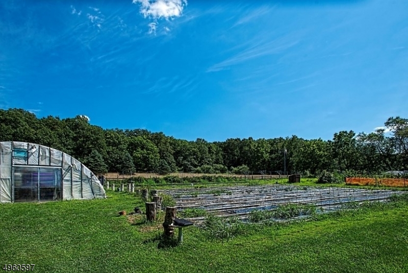 31 Pierce Road Lafayette, NJ 07848 - Photo 20 of 25 Gallery Image 20
