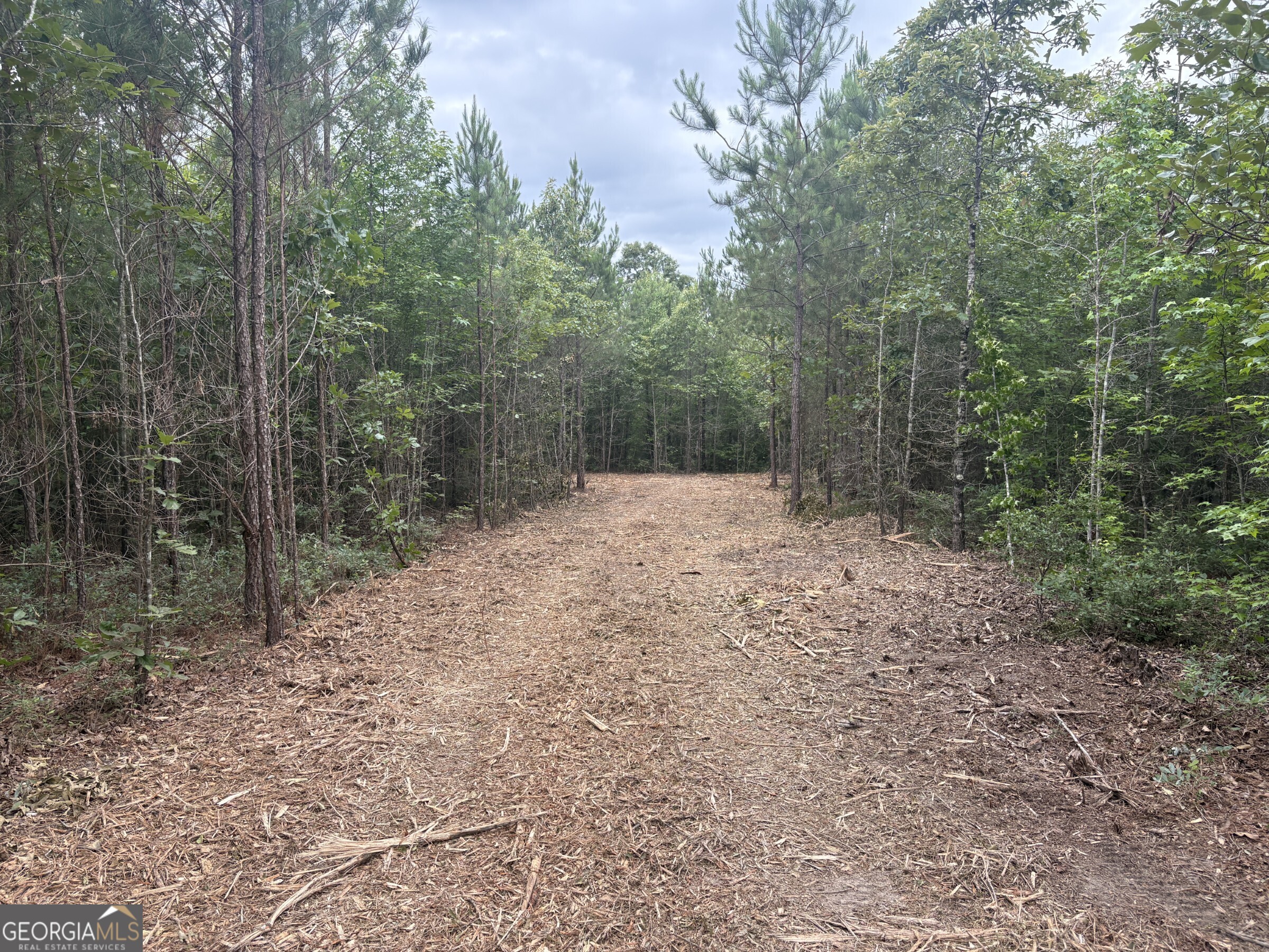 L4 Prosser Road Sandersville, GA 31082 - Photo 3 of 10
