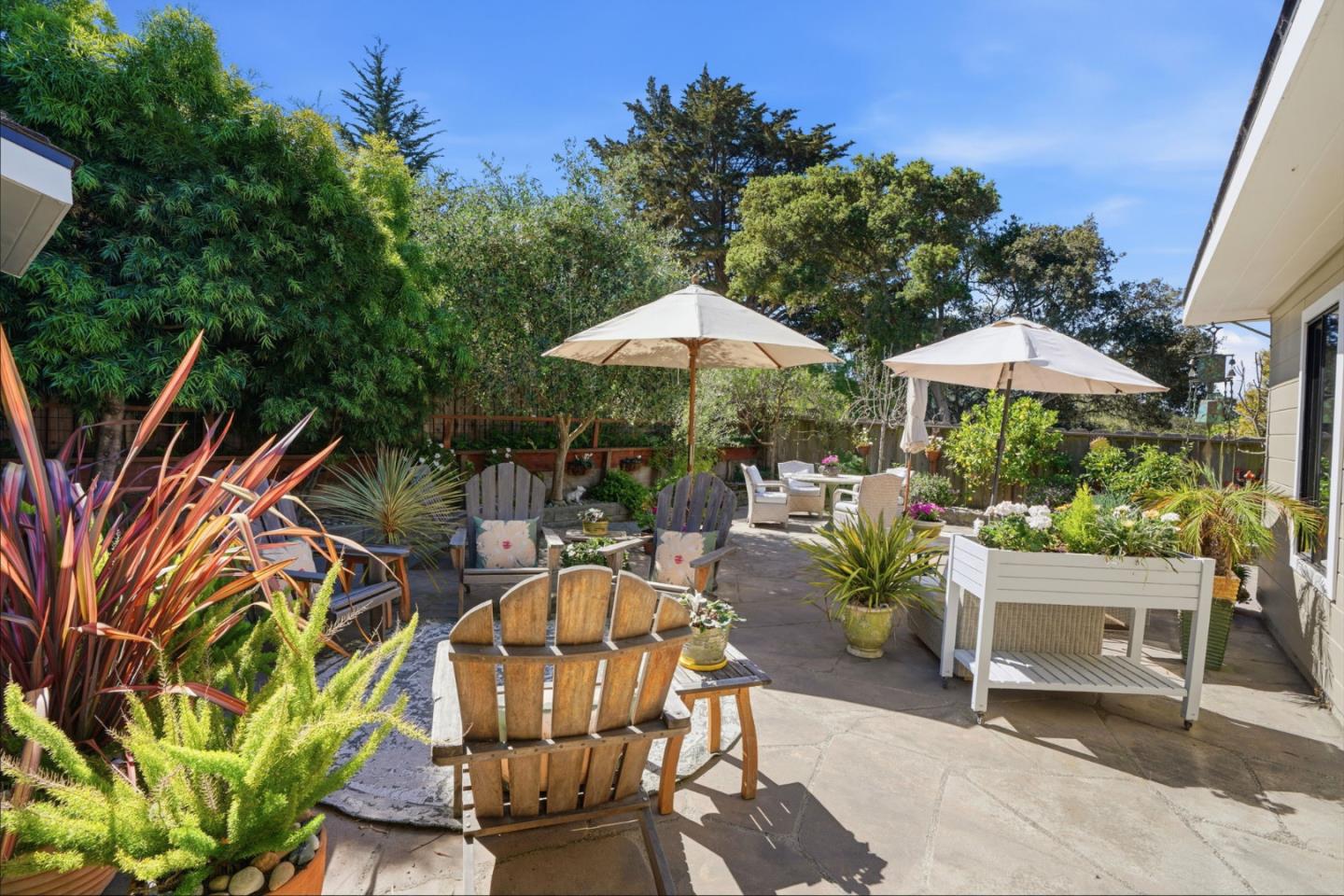 a view of backyard with plants and outdoor seating