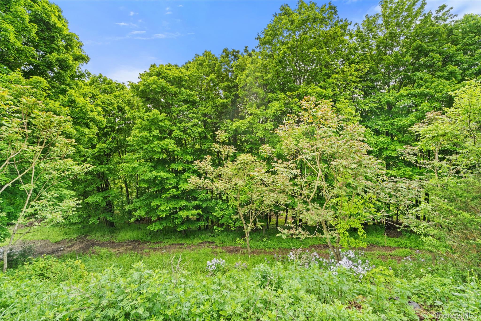 436 Jessup Road Florida, NY 10921 - Photo 41 of 45