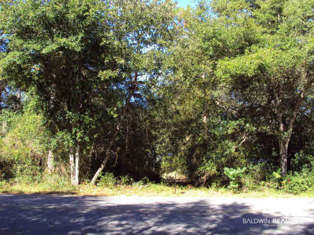 9159 Soldier Creek Road Lillian, AL 36549 - Photo 1 of 1