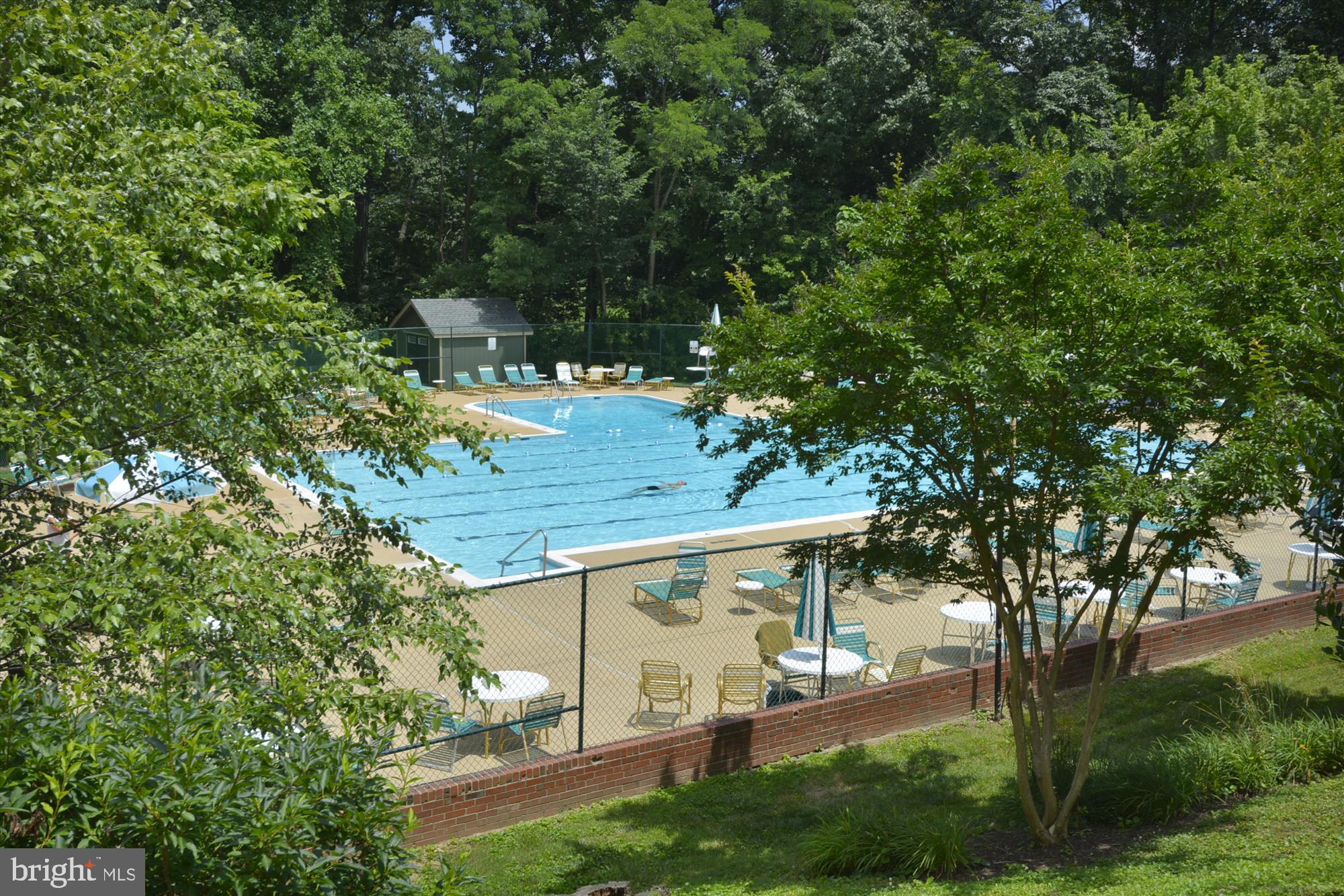 2600 16th Street South, Unit 696 Arlington, VA 22204 - Photo 36 of 46 Arlington Village Pool