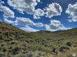 800 Homestead Road Road Cokeville, WY 83114 - Photo 12 of 49 Additional content