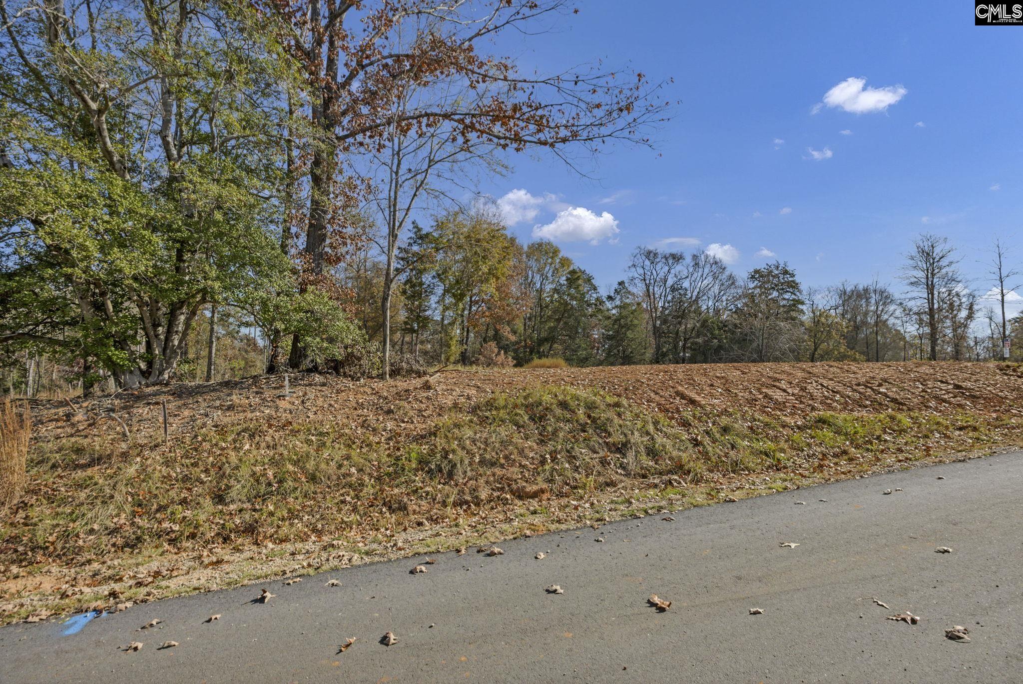 0 Lands End Lane Prosperity, SC 29127 - Photo 3 of 21