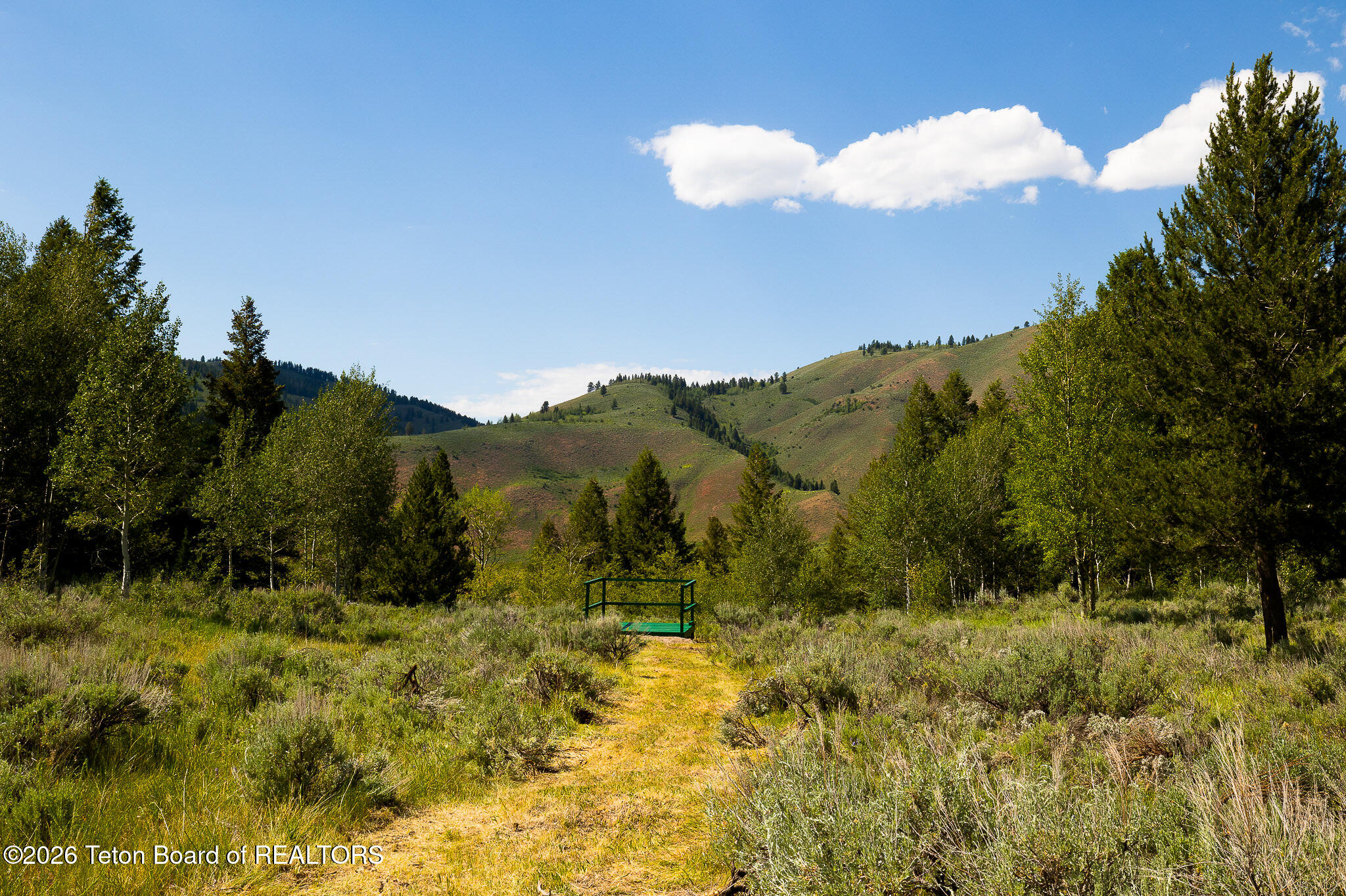 985 Elk Ridge Road Jackson, WY 83001 - Photo 3 of 19 Munger Mountain Views