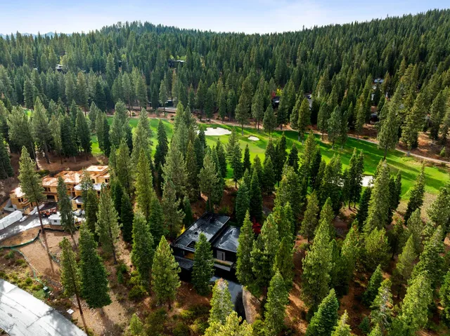 a view of a lush green forest with a lake
