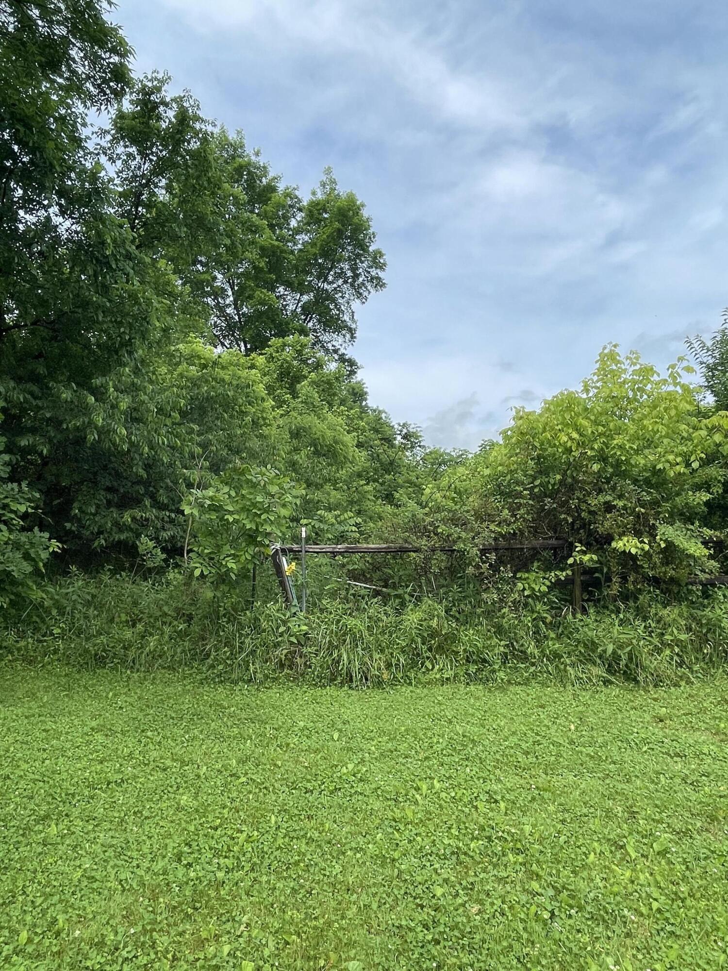 0 Scaffold Lick Creek Road, Unit 2 Berry, KY 41003 - Photo 15 of 17 View from 540 Scaffold