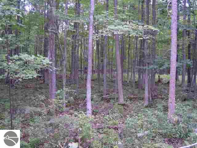 1911 Vaughn Road National City, MI 48748 - Photo 6 of 6 1743016-7.JPG
