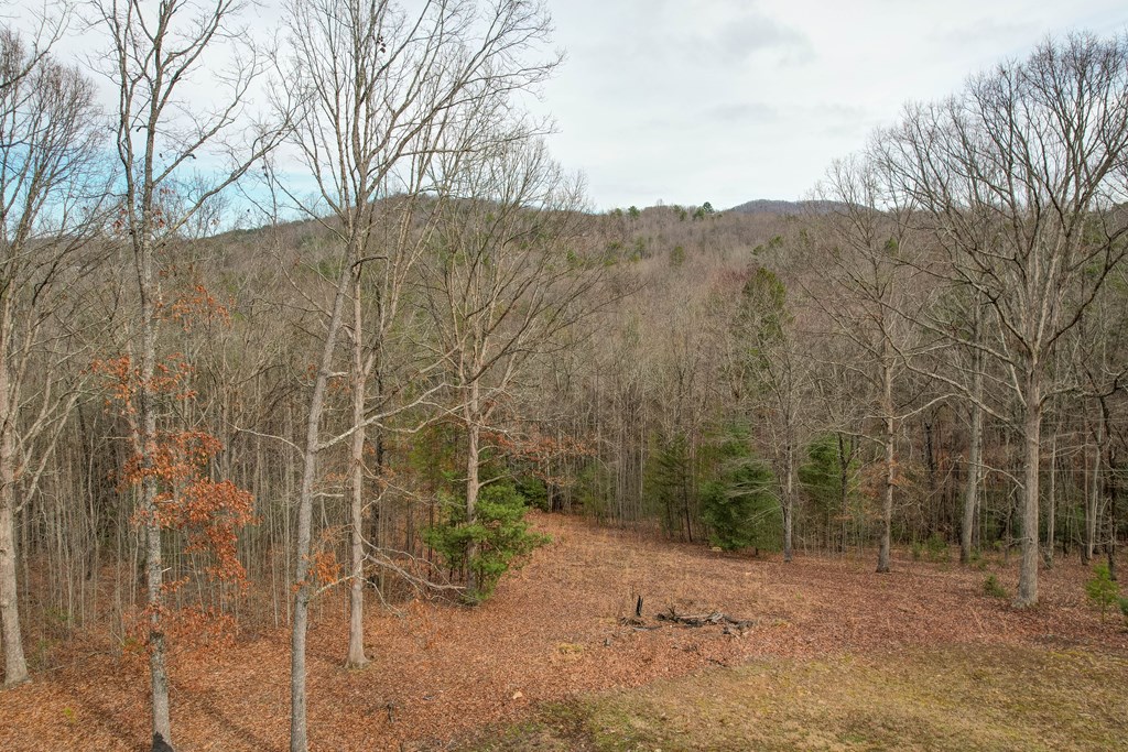 256 Boot Legger Road Morganton, GA 30560 - Photo 34 of 41