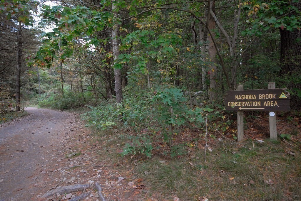 6 Winterberry Path, Unit 6 Acton, MA 01720 - Photo 23 of 24 a view of a yard with large trees