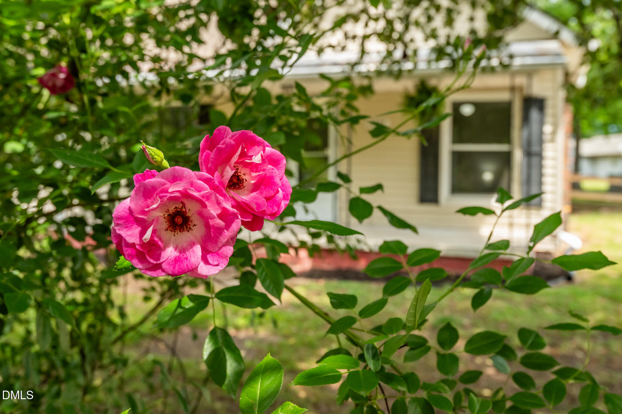 2357 Baynes Road Burlington, NC 27217 - Photo 9 of 70 DSC_7015