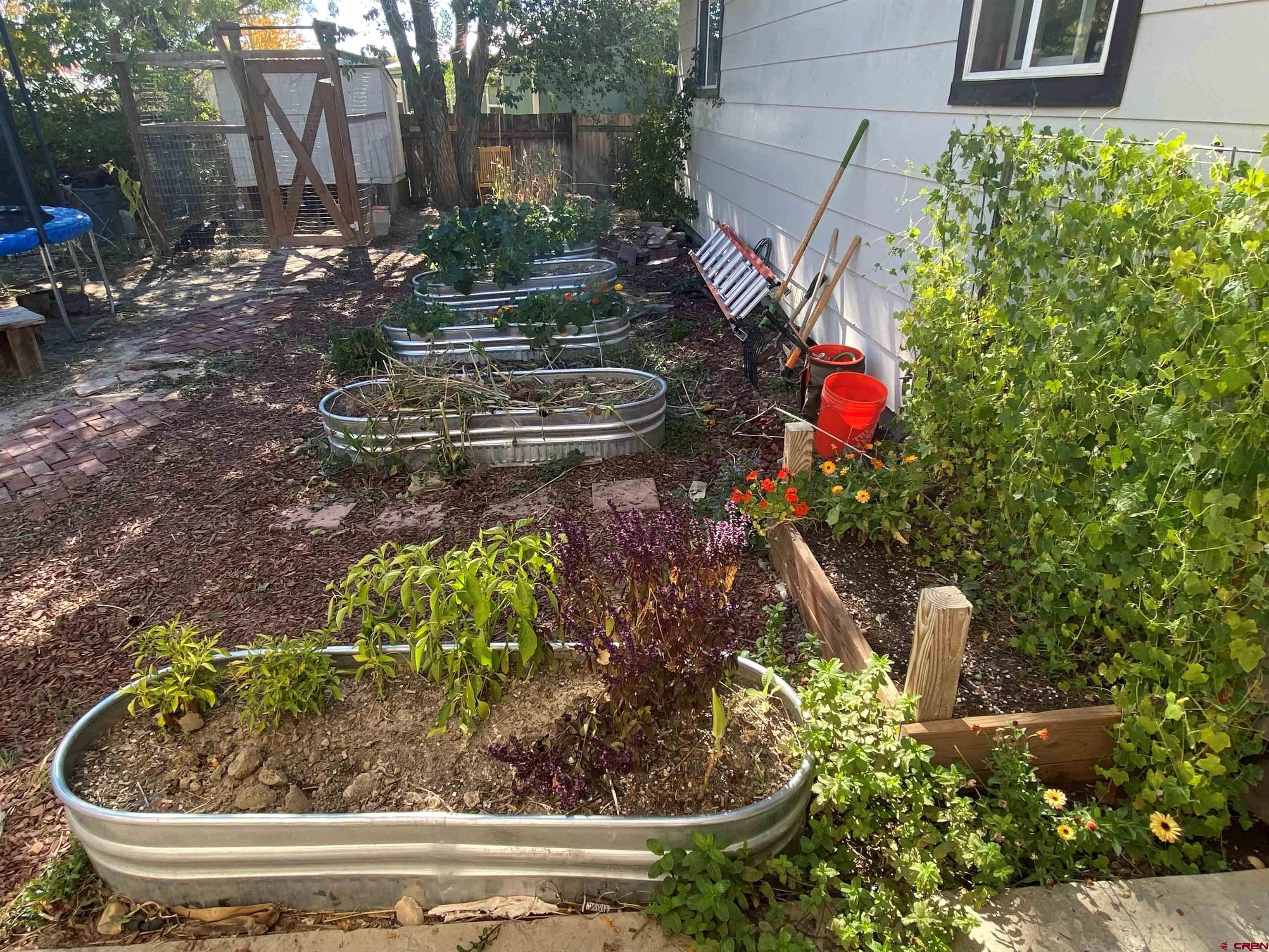 1861 Ouray Drive Montrose, CO 81401 - Photo 12 of 13 a view of a yard with plants