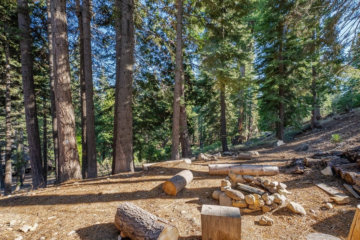 7183 Antelope Way Tahoma, CA 96142 - Photo 16 of 28