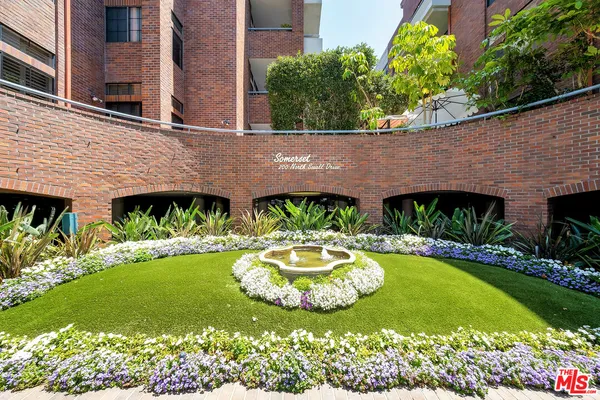 a view of a backyard with plants and a garden