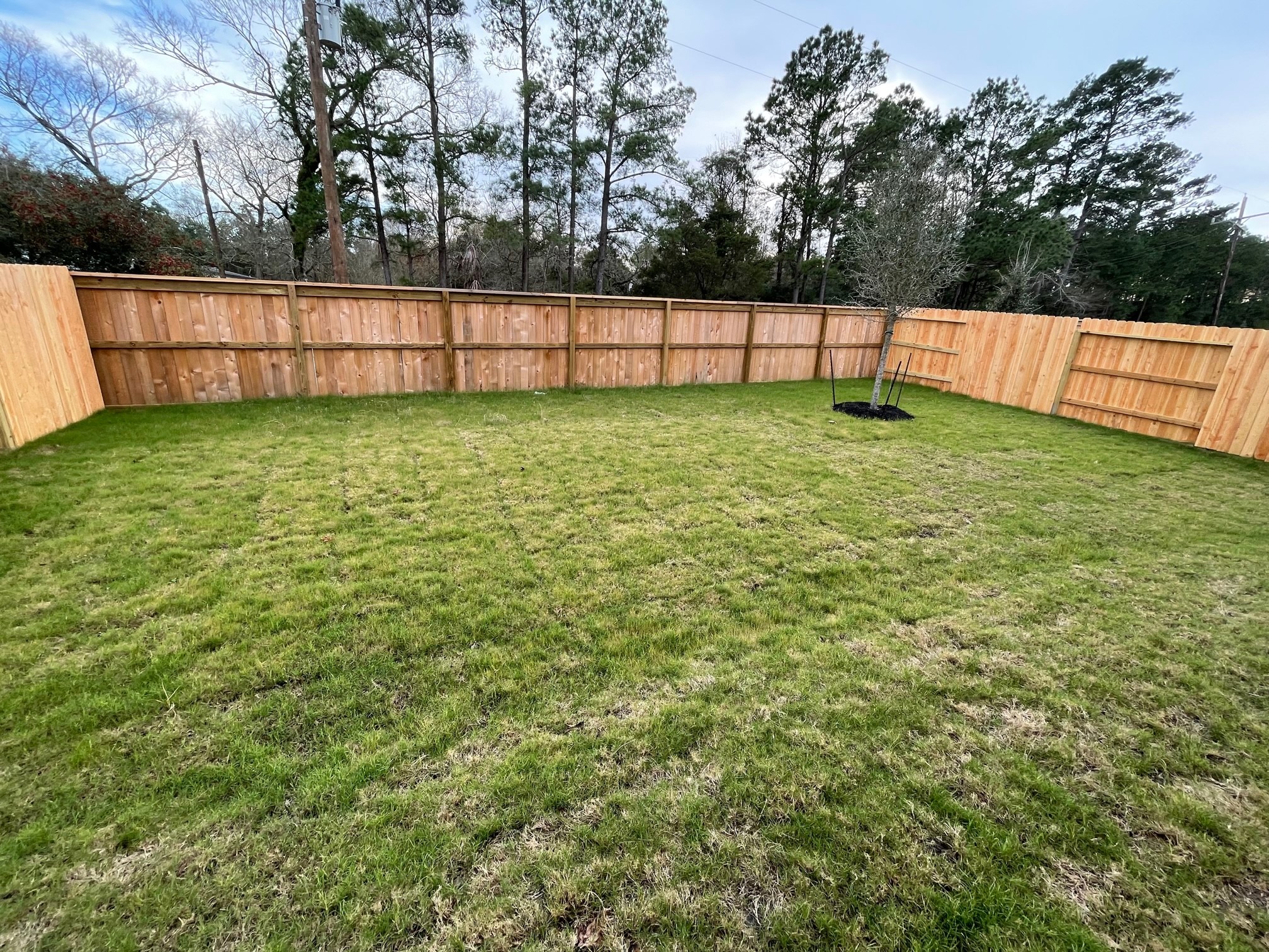 2216 Gadwall Court Conroe, TX 77384 - Photo 20 of 23 a view of a yard with large trees