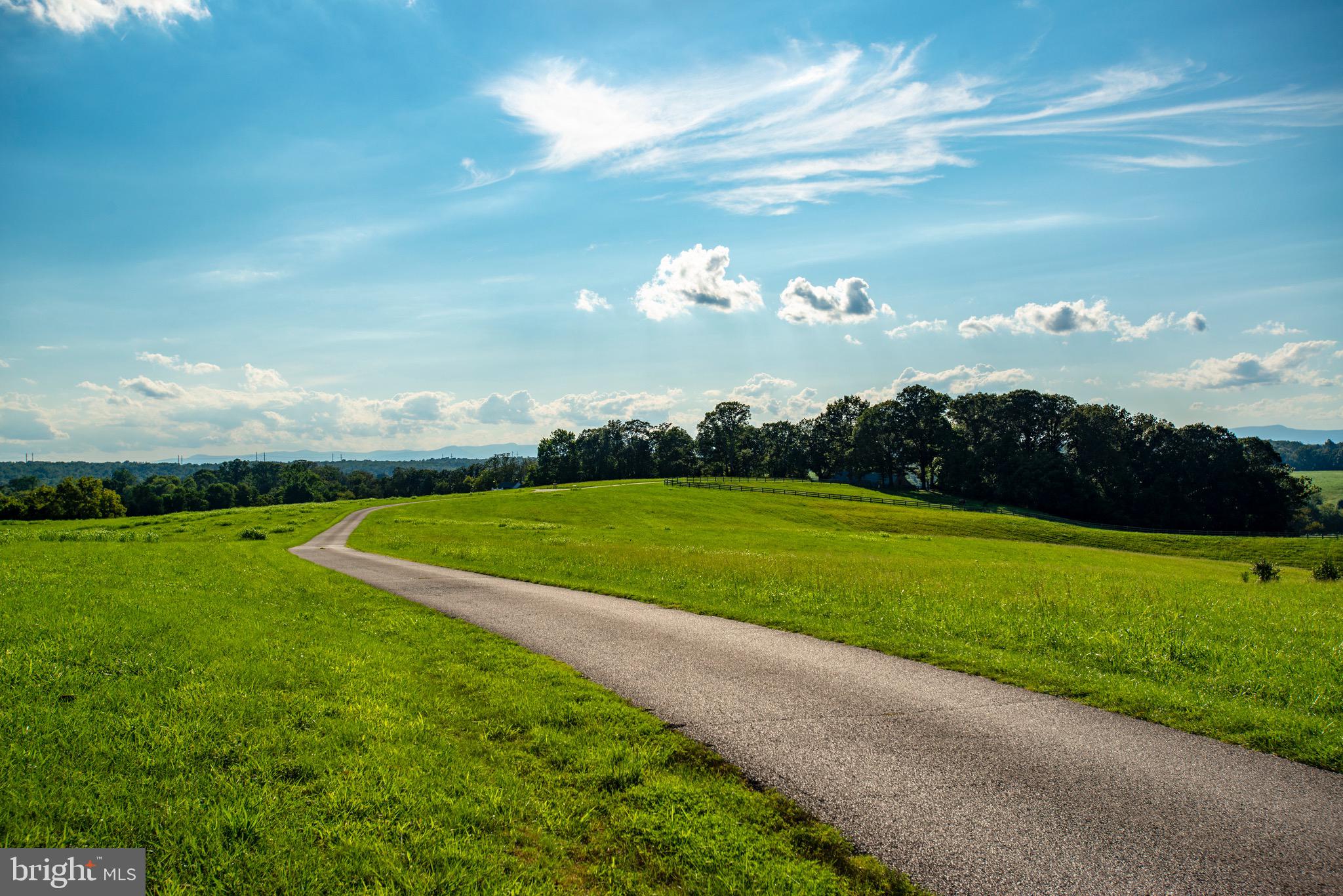 9474 Foxville Road Warrenton, VA 20186 - Photo 39 of 42 Enchanting Driveway. Property Extends Both Sides