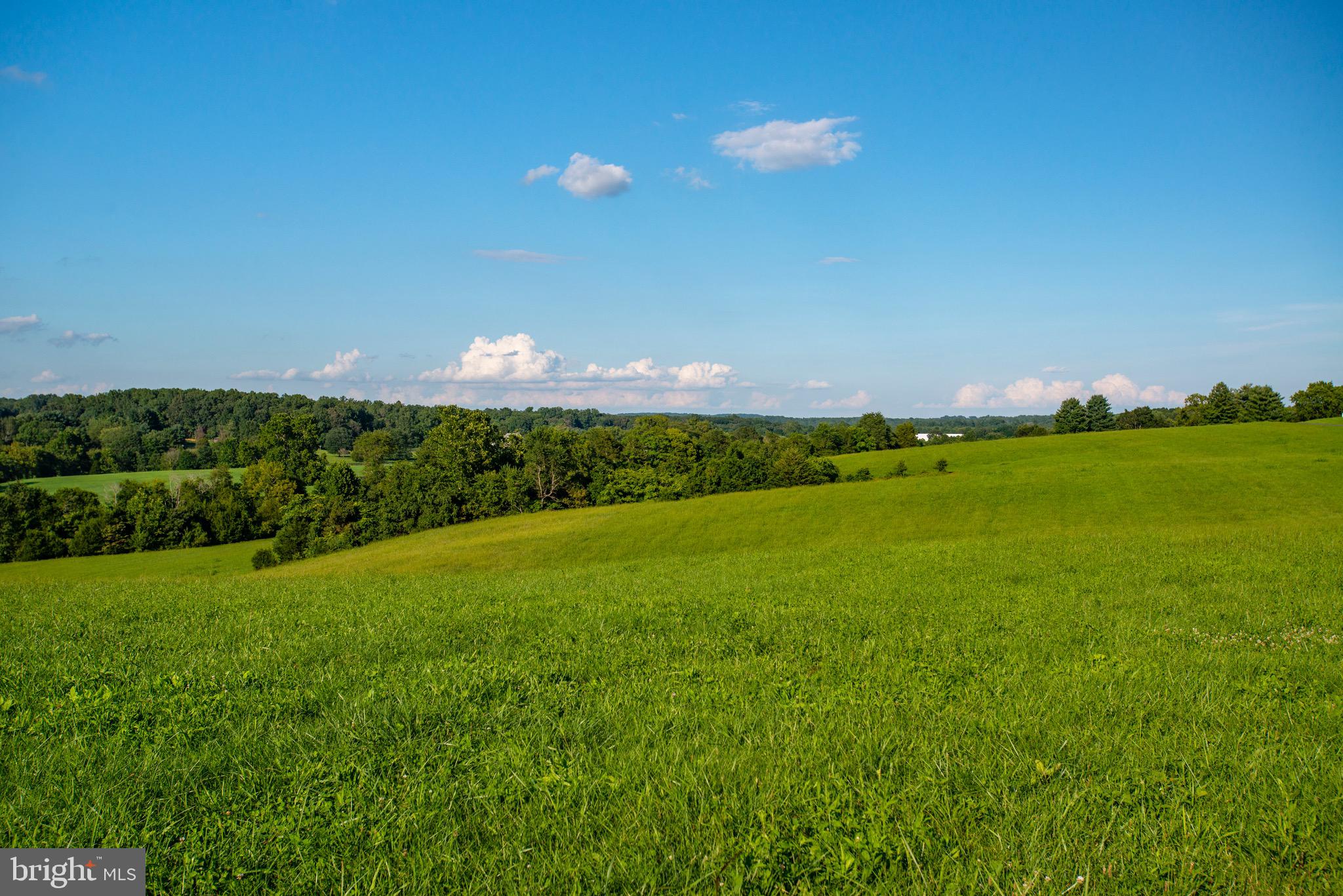 9474 Foxville Road Warrenton, VA 20186 - Photo 40 of 42 Open Hay Fields with Panoramic Views