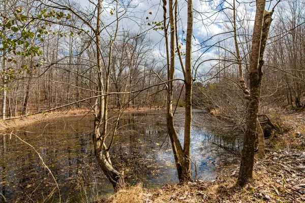 a view of backyard of house