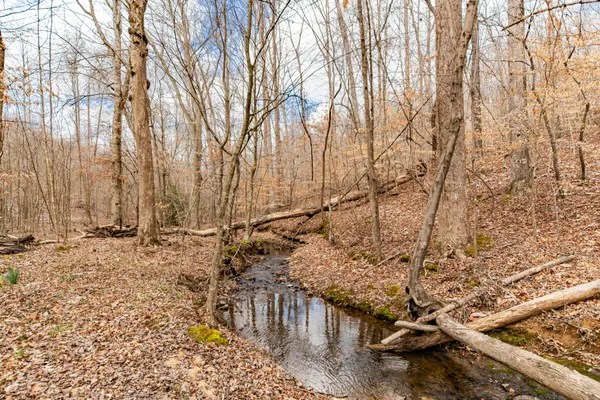 a view of an ocean beach