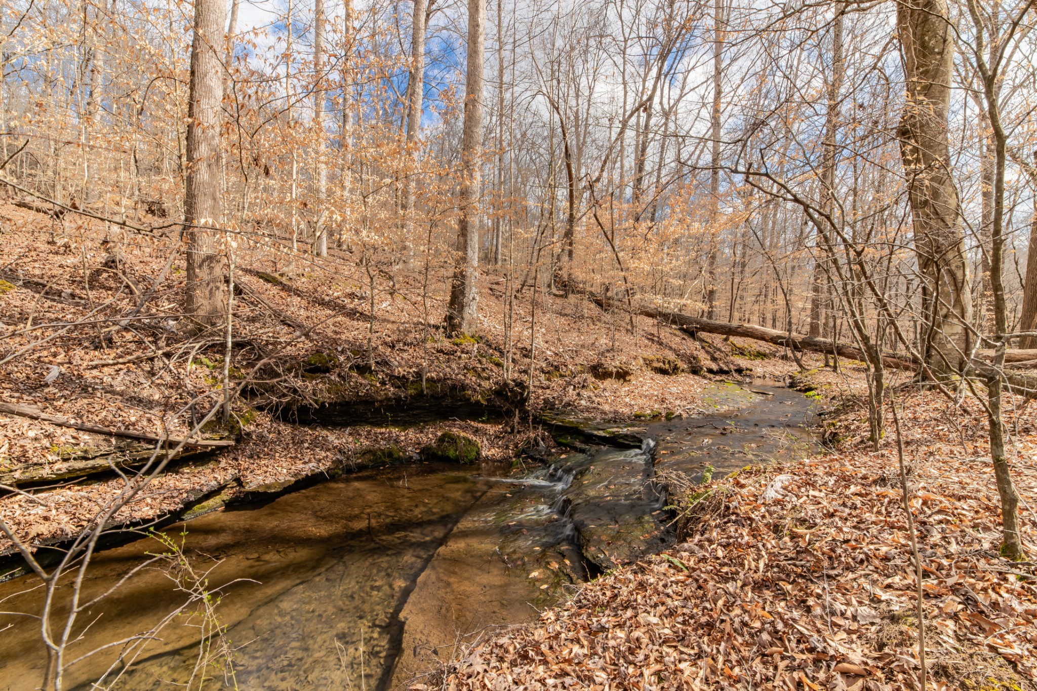 24 Busby Road Loretto, TN 38469 - Photo 24 of 65