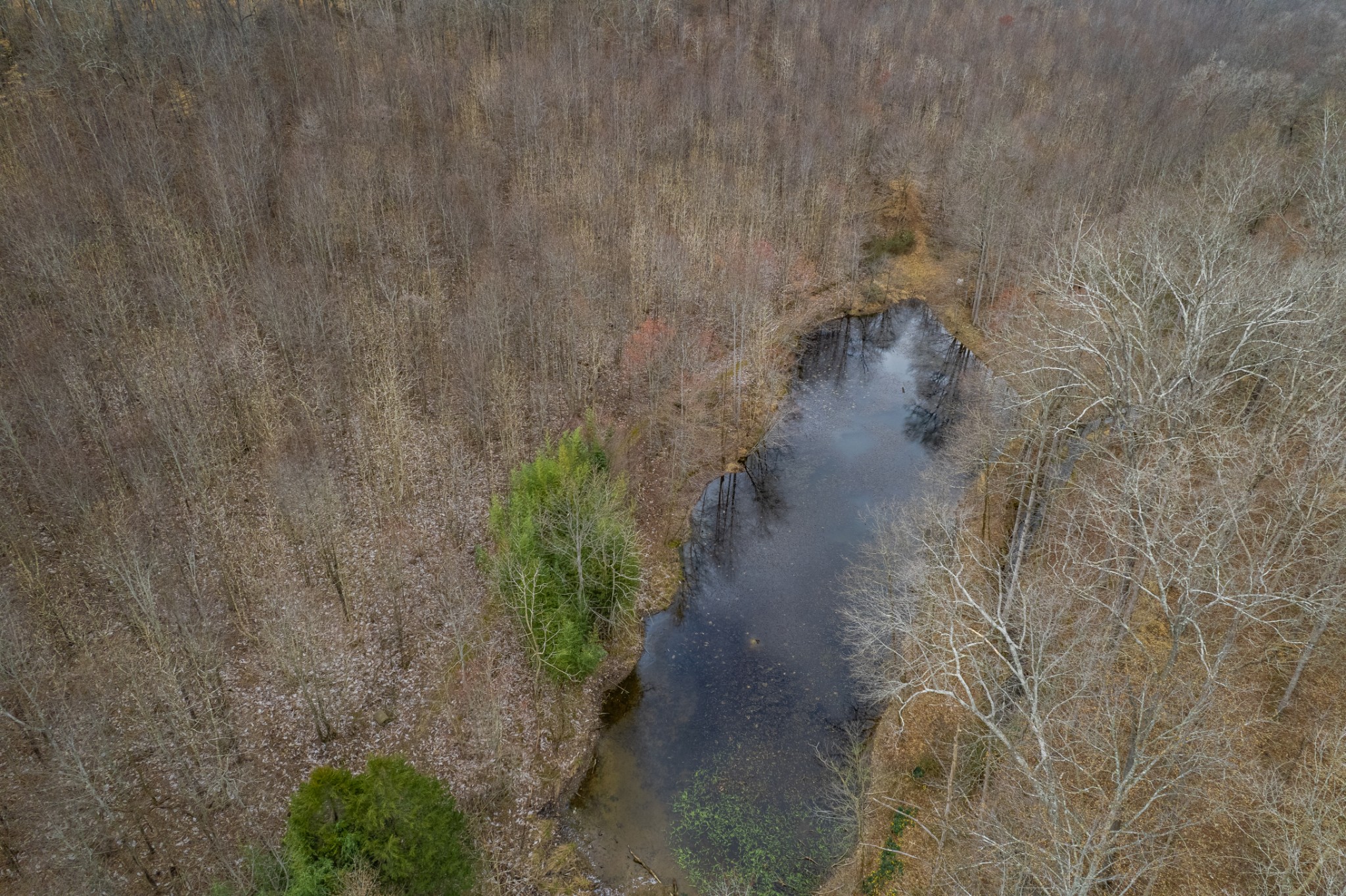 24 Busby Road Loretto, TN 38469 - Photo 25 of 65