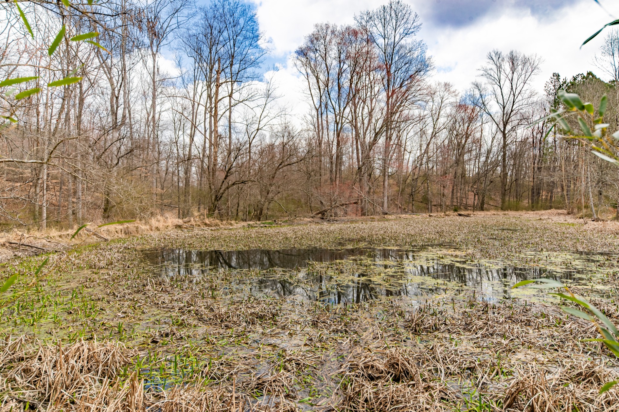 24 Busby Road Loretto, TN 38469 - Photo 26 of 65