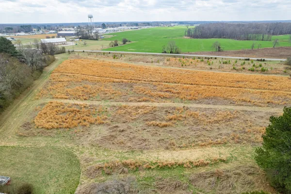 a view of a yard with trees