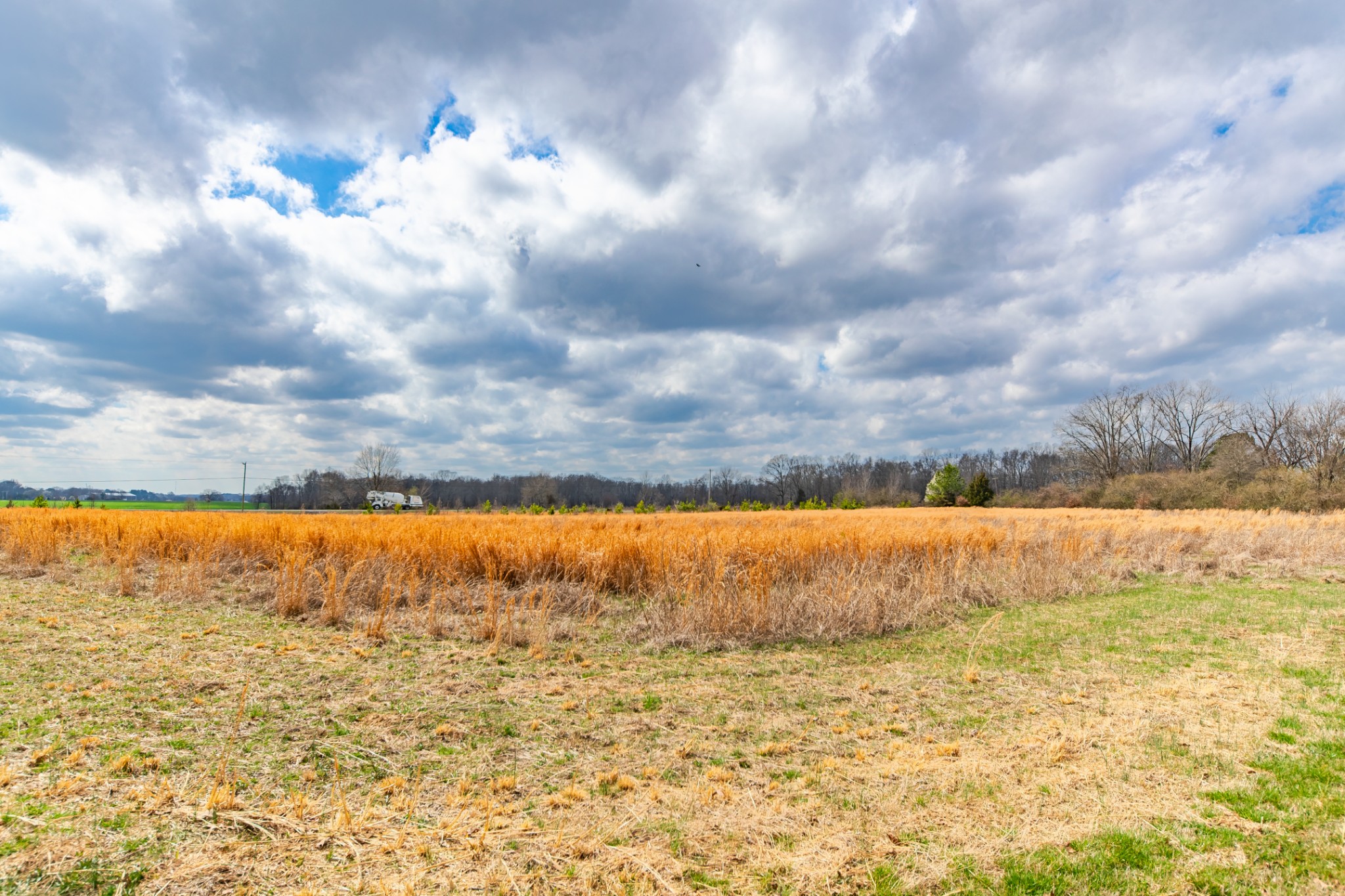 24 Busby Road Loretto, TN 38469 - Photo 28 of 65