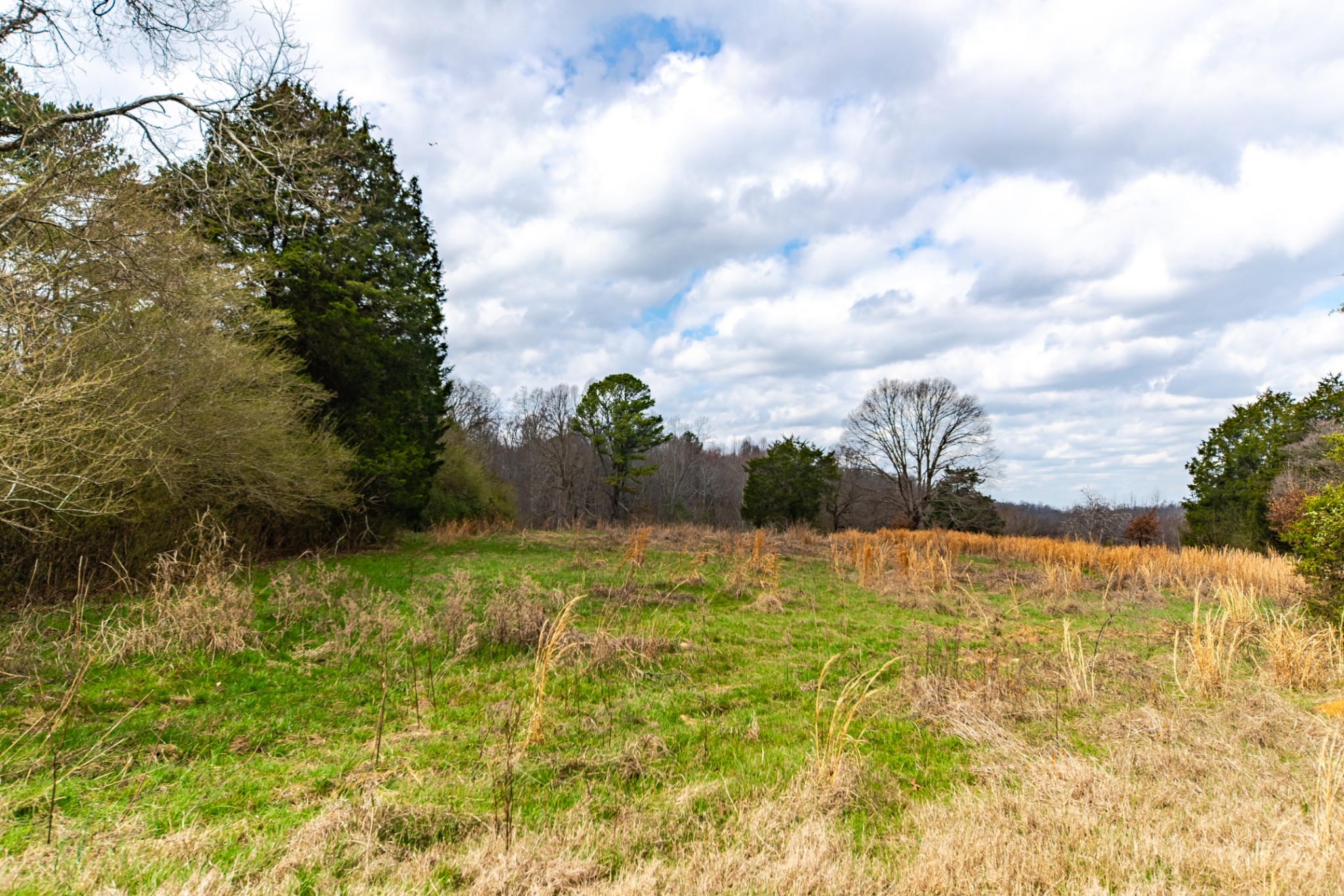 24 Busby Road Loretto, TN 38469 - Photo 29 of 65