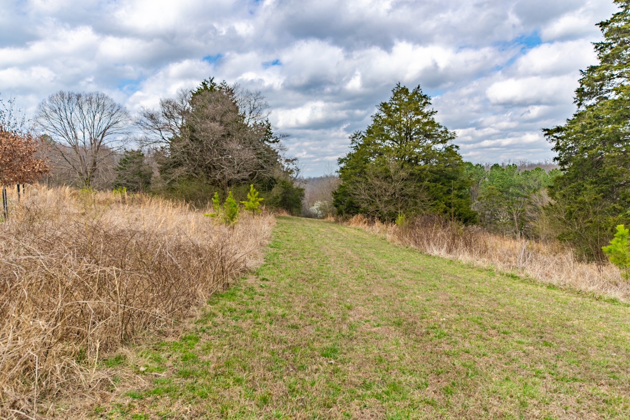24 Busby Road Loretto, TN 38469 - Photo 30 of 65