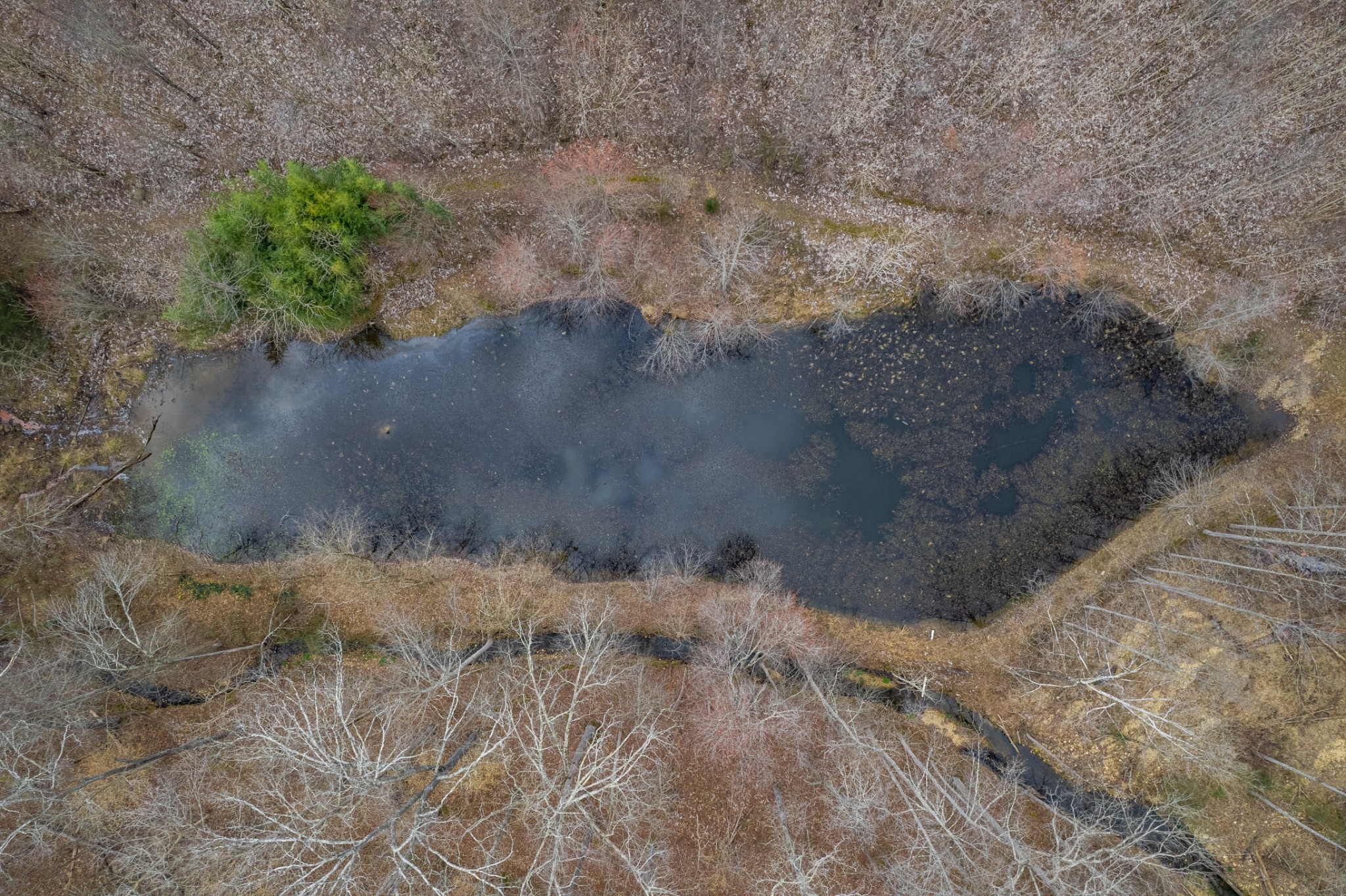 24 Busby Road Loretto, TN 38469 - Photo 3 of 65