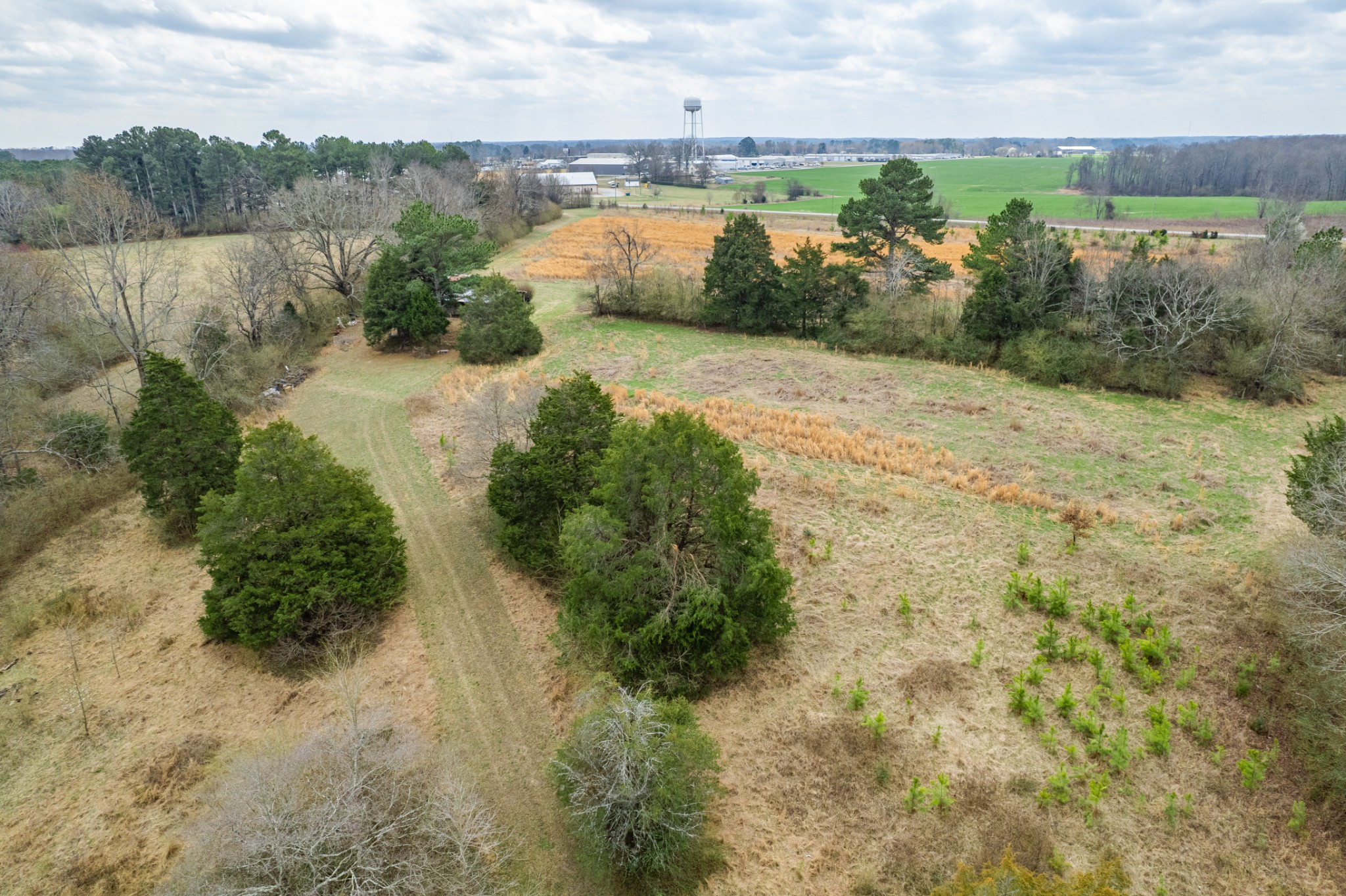 24 Busby Road Loretto, TN 38469 - Photo 31 of 65