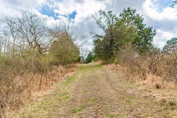 a view of swimming pool and trees