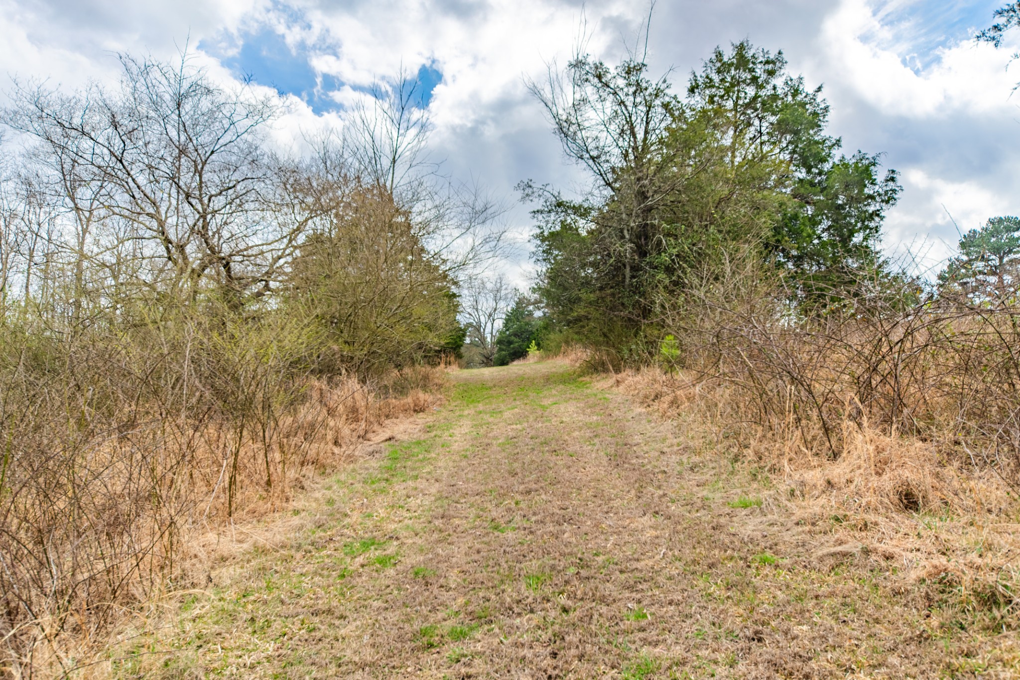 24 Busby Road Loretto, TN 38469 - Photo 33 of 65