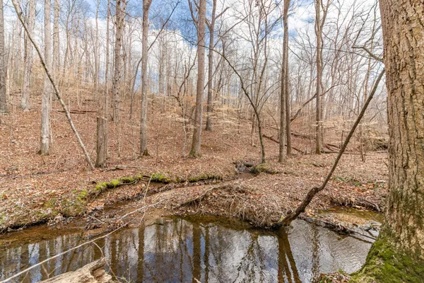 a view of a yard with trees in the background